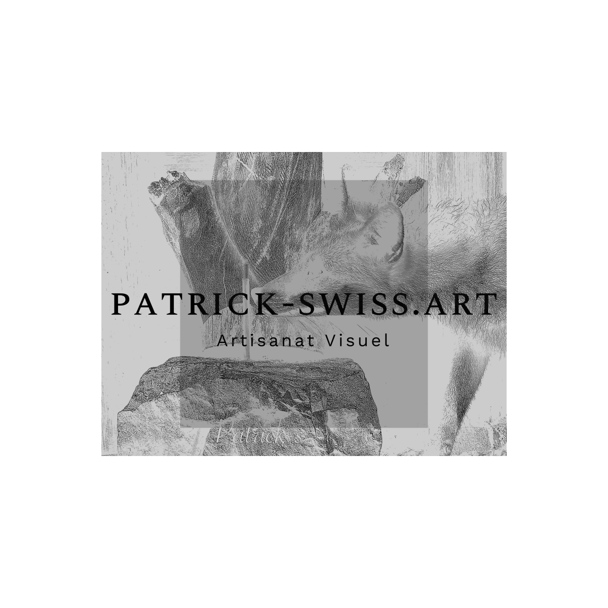 Patrick-swiss.art By Patrick Sulliger